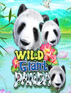 ทดลองเล่น ufabet 007 ทาง เข า สัมผัสประสบการณ์ใหม่